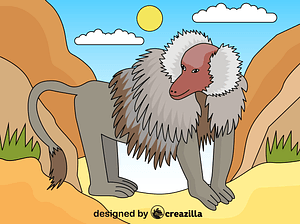 Baboon