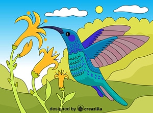 Hummingbird