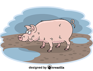 Pig