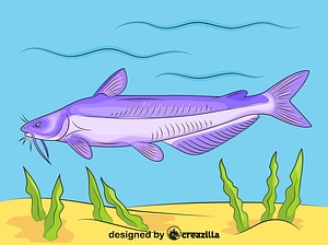 Blue Catfish Ictalurus
