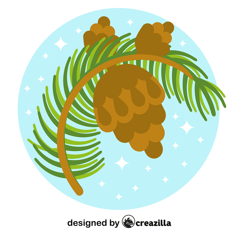 Pine cone