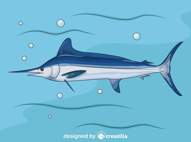 Atlantic White Marlin