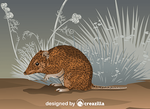 Golden Bandicoot