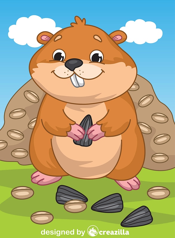 Hamster