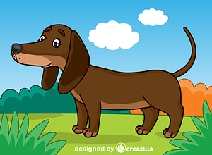 Dachshund