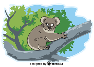 Koala