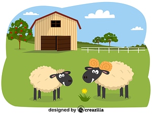Animals on the farm - sheep