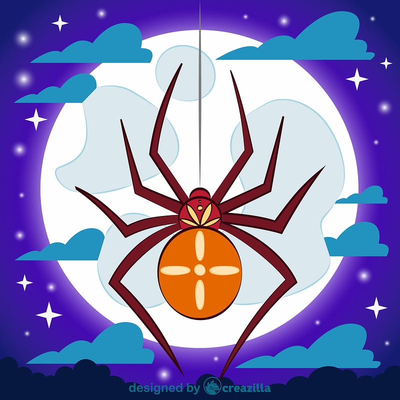 Spider
