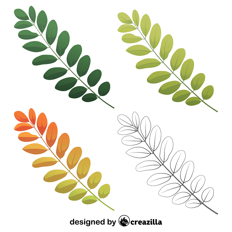 Black locust leaves