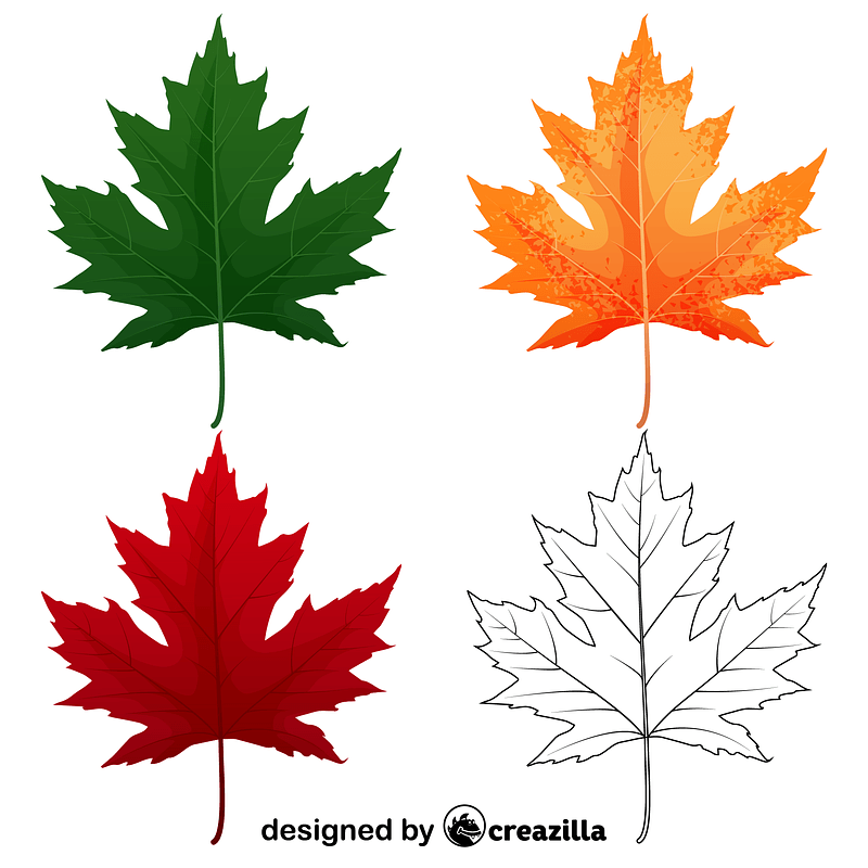 Silver maple leaves