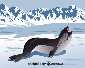 Ross Seal