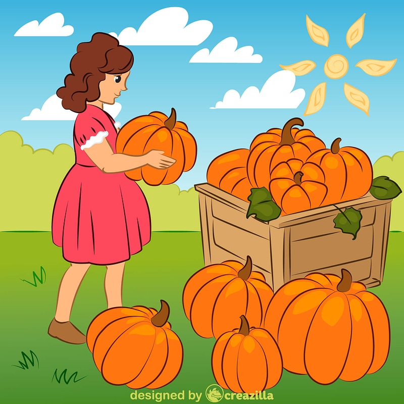 Harvest with pumpkins
