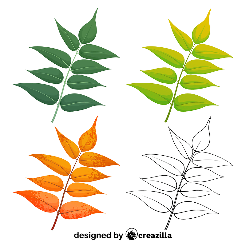 Tree of heaven leaves