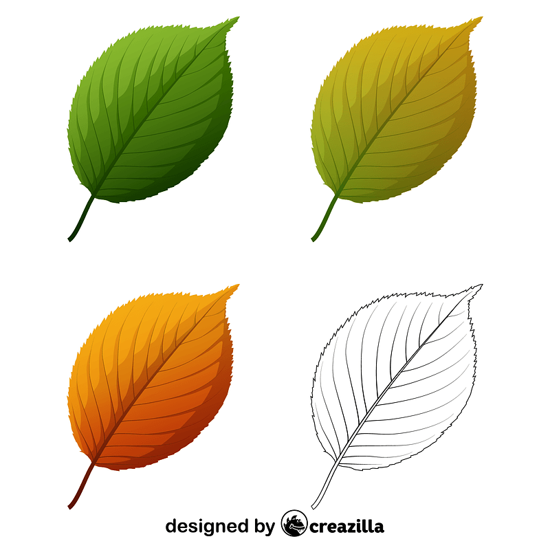 Apple tree leaves