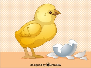 Chick