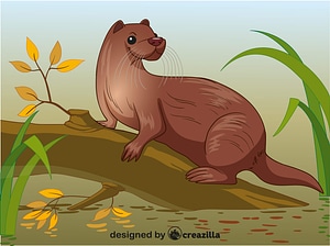 Otter