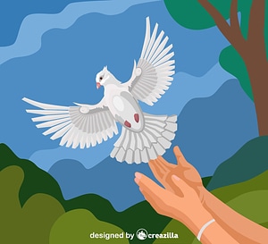 Dove