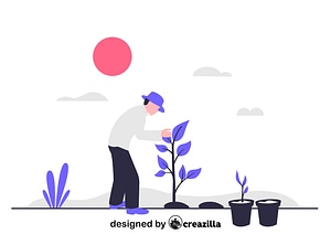 Plant a tree