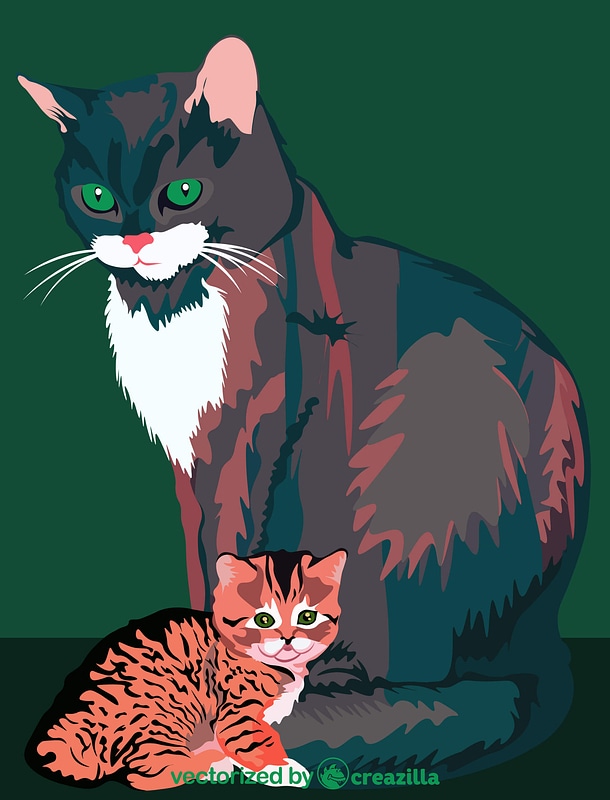 Mother Cat with Kitten