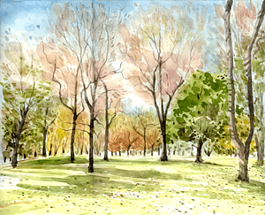Watercolor forest painting