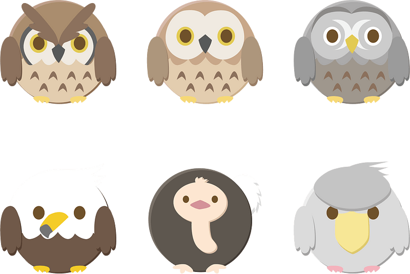 Owl Eagle Ostrich Shoebill