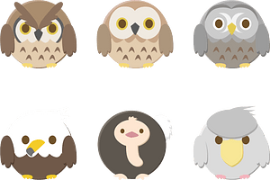Owl Eagle Ostrich Shoebill