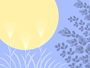Tsukimi Moon