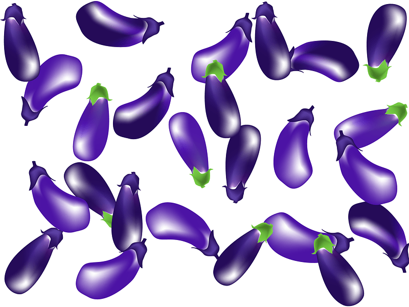 Eggplant Vegetable