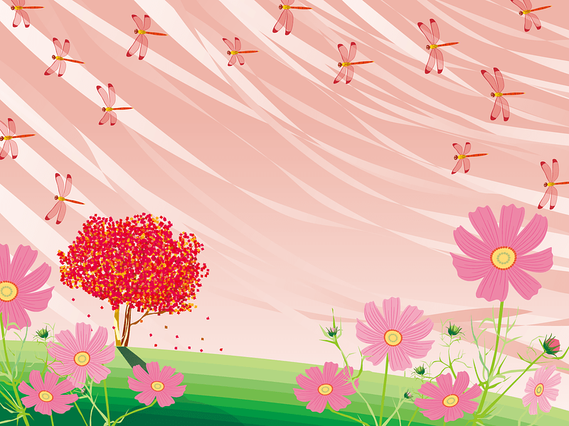 Cosmos Red Dragonfly