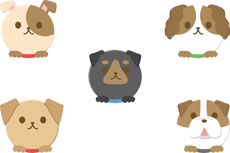 Dog Animal