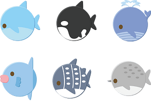 Dolphin Whale Shark