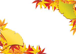 Maple Ginkgo Leaves Frame