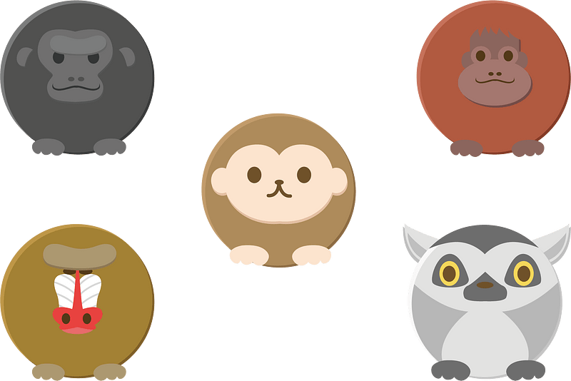 Moneky Animal