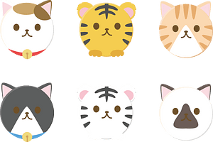Cat Tiger