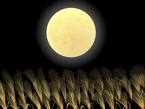 Moon Susuki Grass