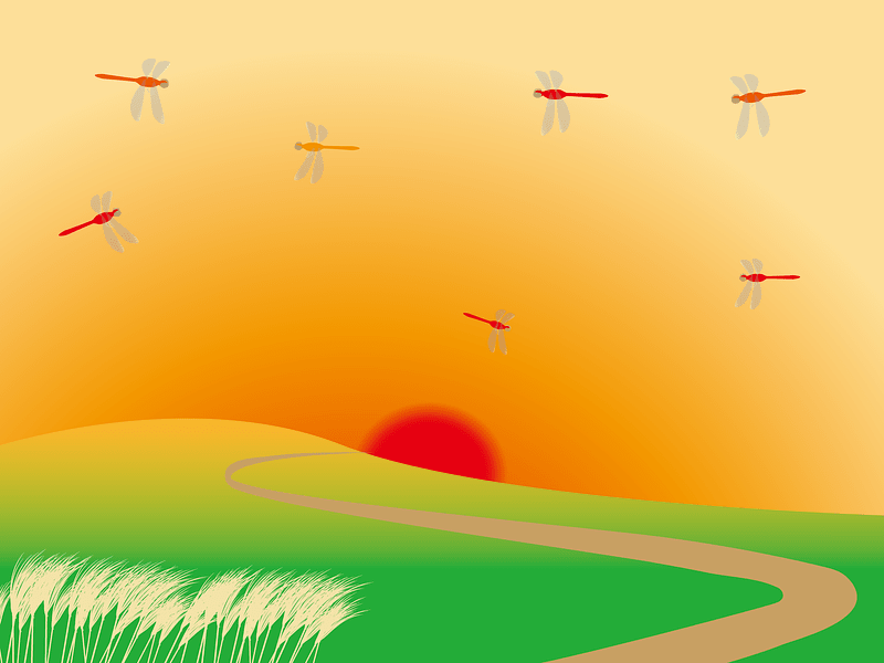 Sunset Red Dragonfly