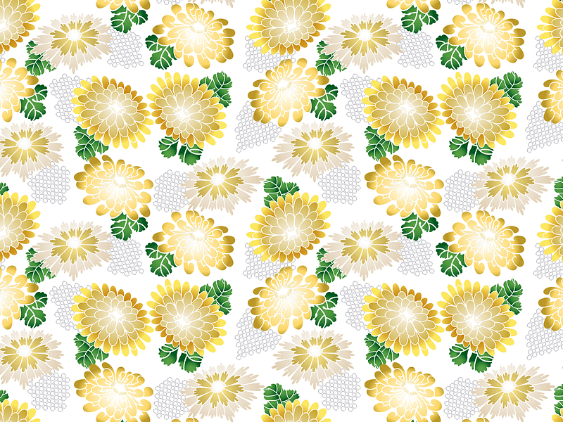 Chrysanthemum Background