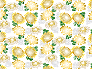 Chrysanthemum Background
