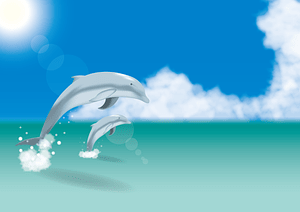 Dolphins Summer Sea