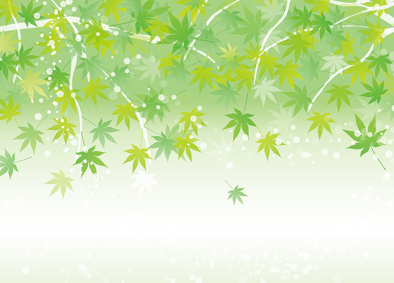 Green Maple Leaves
