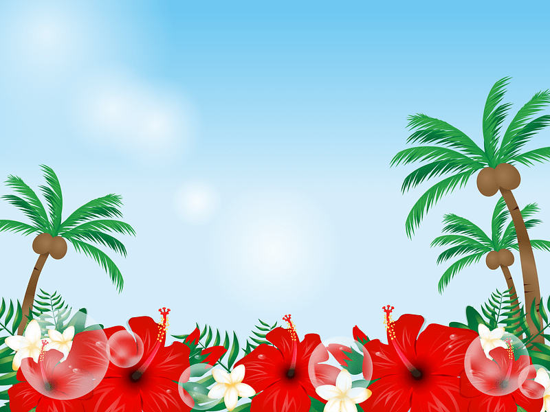 Hibiscus Palm Trees