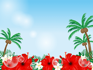 Hibiscus Palm Trees