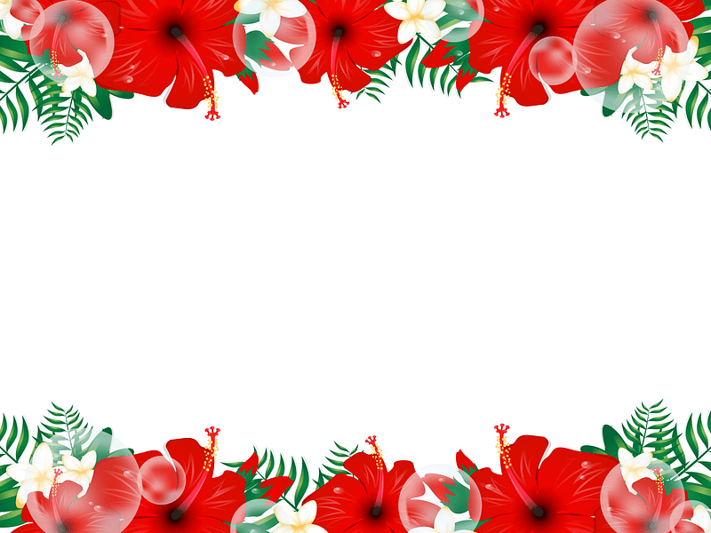 Hibiscus Plumeria Frame