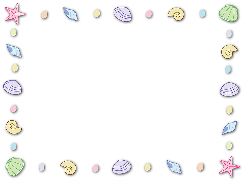 Shells Starfish Frame