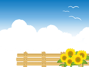 Sunflower Summer