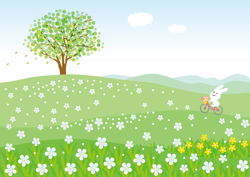 Flower Hill Rabbit Bicycle
