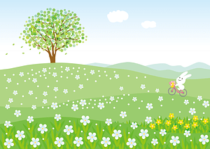 Flower Hill Rabbit Bicycle