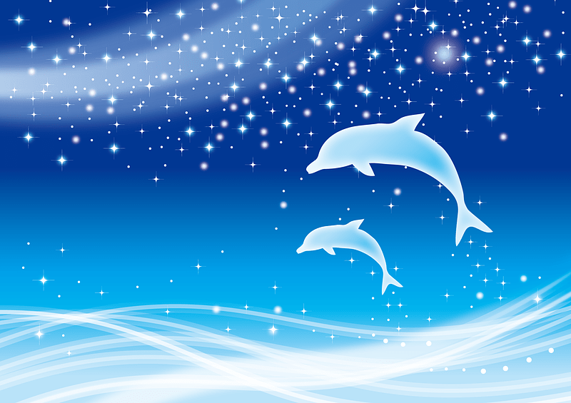 Dolphins Milky Way