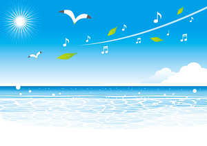 Summer Sea Seagull