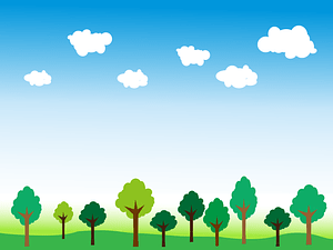 Trees Sky
